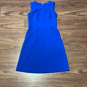 Calvin Klein Bright Blue Work Dress